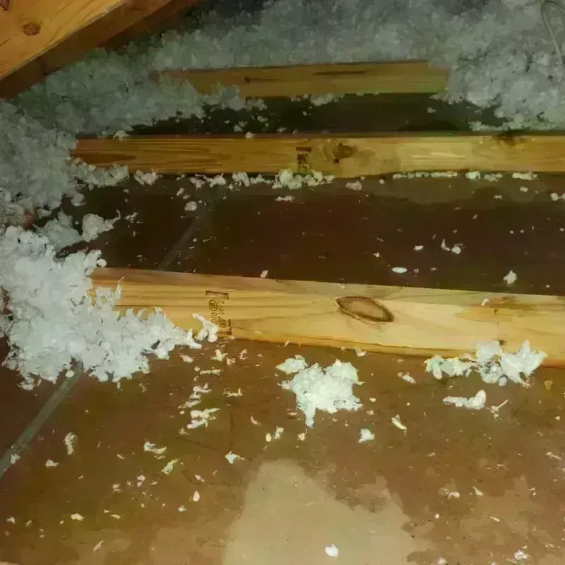 Attic Water Damage in Jonesboro, LA