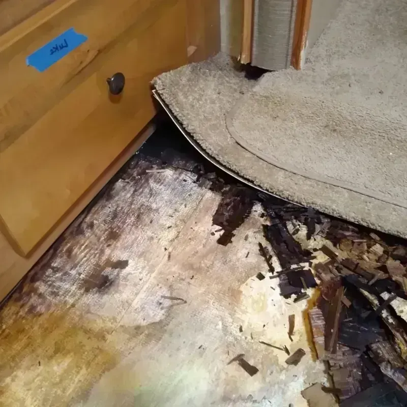 Wood Floor Water Damage in Jonesboro, LA